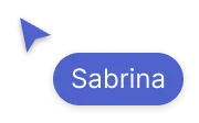 feature 2 image cursor